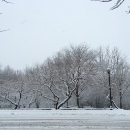 Store Stories: The Good, the Bad, and the Snowy